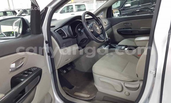 Buy Import Kia Carnival Other Car in Import - Dubai in Malawi