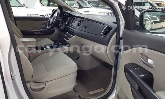 Buy Import Kia Carnival Other Car in Import - Dubai in Malawi Buy Import Kia Carnival Other Car in Import - Dubai in Malawi