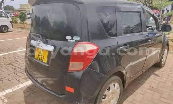 Buy Used Toyota Ractis Black Car in Chitipa in Chitipa Buy Used Toyota Ractis Black Car in Chitipa in Chitipa
