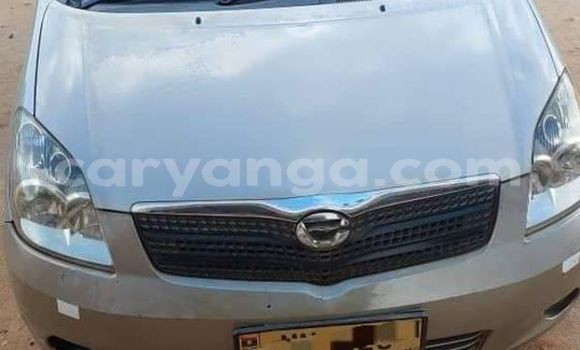 Acheter Occasion Voiture Toyota Spacio Autre à Chiradzulu, Chiradzulu Acheter Occasion Voiture Toyota Spacio Autre à Chiradzulu, Chiradzulu