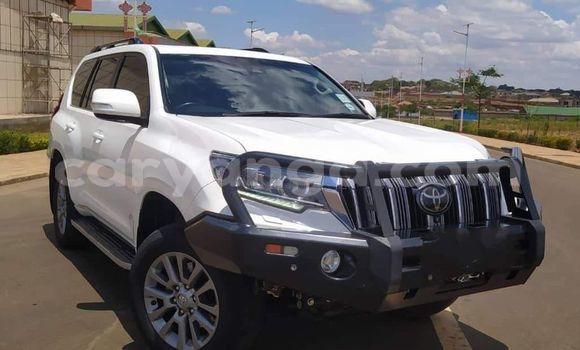 Acheter Occasion Voiture Toyota Land Cruiser Blanc à Chiradzulu, Chiradzulu Acheter Occasion Voiture Toyota Land Cruiser Blanc à Chiradzulu, Chiradzulu