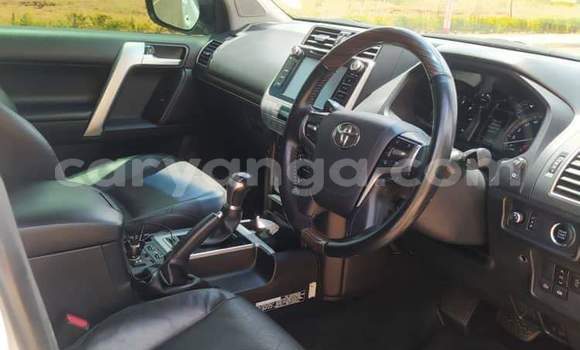 Acheter Occasion Voiture Toyota Land Cruiser Blanc à Chiradzulu, Chiradzulu Acheter Occasion Voiture Toyota Land Cruiser Blanc à Chiradzulu, Chiradzulu