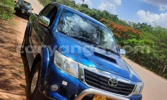 Acheter Occasion Voiture Toyota Hilux Bleu à Lilongwe, Malawi Acheter Occasion Voiture Toyota Hilux Bleu à Lilongwe, Malawi