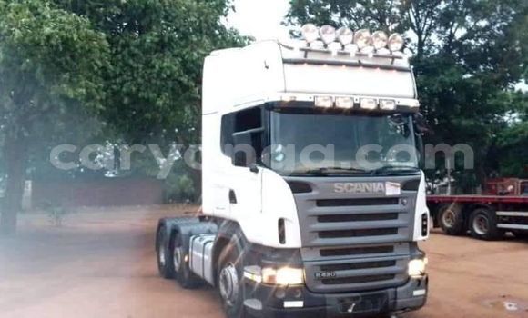 Acheter Occasion Utilitaire Scania R420 Blanc à Import - Dubai, Malawi Acheter Occasion Utilitaire Scania R420 Blanc à Import - Dubai, Malawi
