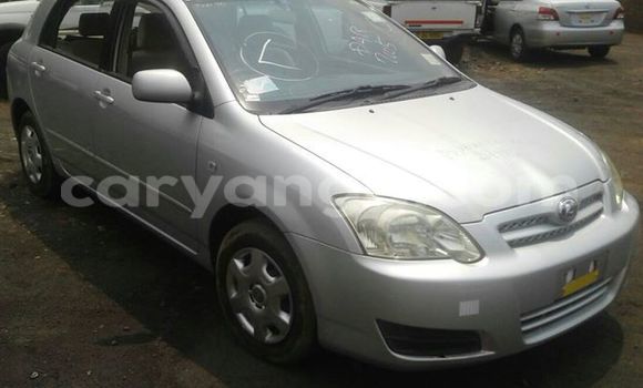 Buy Used Toyota Allex Black Car in Limbe in Malawi Buy Used Toyota Allex Black Car in Limbe in Malawi