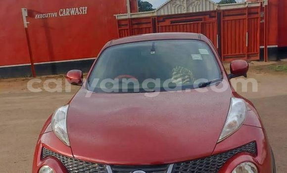 Buy Used Nissan Juke Red Car in Blantyre in Malawi Buy Used Nissan Juke Red Car in Blantyre in Malawi