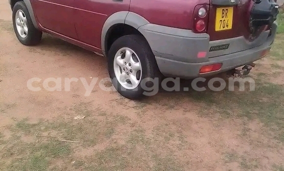Buy Used Land Rover Freelander Other Car in Blantyre in Malawi
