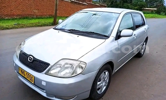 Buy Used Toyota Runx Silver Car in Blantyre in Malawi