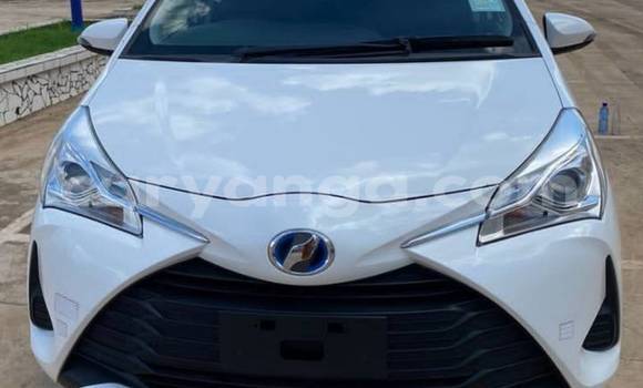 Buy Used Toyota Vitz White Car in Lilongwe in Malawi Buy Used Toyota Vitz White Car in Lilongwe in Malawi