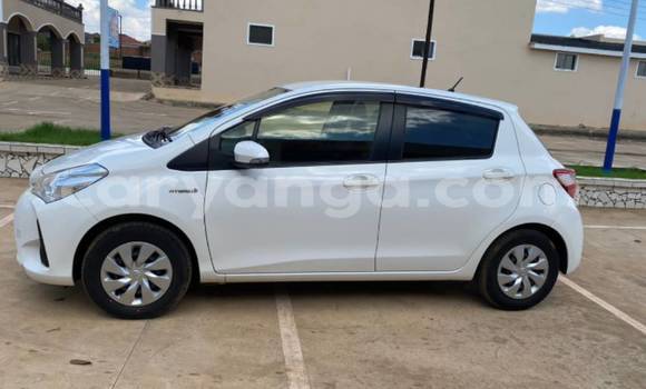Buy Used Toyota Vitz White Car in Lilongwe in Malawi Buy Used Toyota Vitz White Car in Lilongwe in Malawi