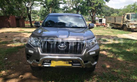 Buy Used Toyota Prado Other Car in Lilongwe in Malawi Buy Used Toyota Prado Other Car in Lilongwe in Malawi
