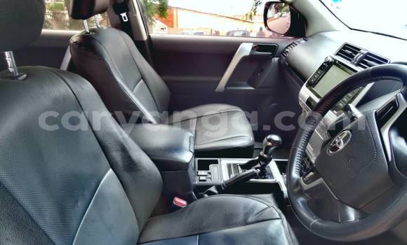 Buy Used Toyota Prado Other Car in Lilongwe in Malawi Buy Used Toyota Prado Other Car in Lilongwe in Malawi