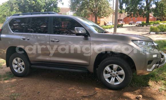 Buy Used Toyota Prado Other Car in Lilongwe in Malawi Buy Used Toyota Prado Other Car in Lilongwe in Malawi