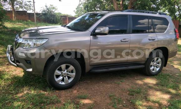 Buy Used Toyota Prado Other Car in Lilongwe in Malawi Buy Used Toyota Prado Other Car in Lilongwe in Malawi