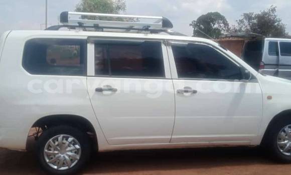 Buy Used Toyota Probox White Car in Lilongwe in Malawi Buy Used Toyota Probox White Car in Lilongwe in Malawi