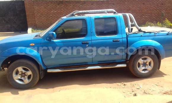 Buy Used Nissan Hardbody Blue Car in Lilongwe in Malawi Buy Used Nissan Hardbody Blue Car in Lilongwe in Malawi