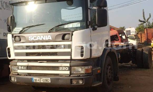 Buy Used Scania 94D White Truck in Lilongwe in Malawi Buy Used Scania 94D White Truck in Lilongwe in Malawi