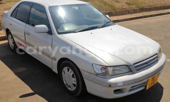 Buy Used Toyota Corolla White Car in Lilongwe in Malawi Buy Used Toyota Corolla White Car in Lilongwe in Malawi