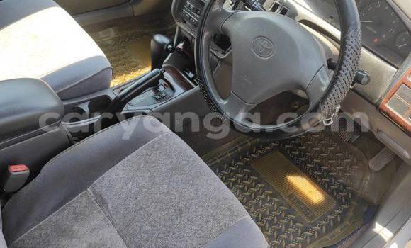 Buy Used Toyota Corolla White Car in Lilongwe in Malawi Buy Used Toyota Corolla White Car in Lilongwe in Malawi