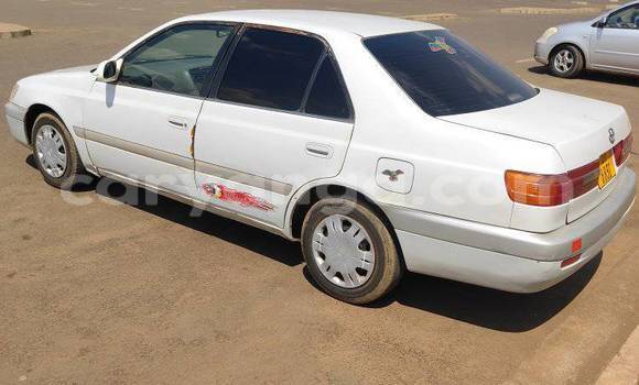 Buy Used Toyota Corolla White Car in Lilongwe in Malawi Buy Used Toyota Corolla White Car in Lilongwe in Malawi