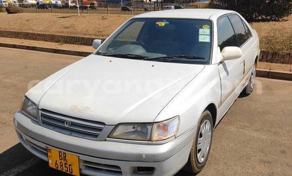 Buy Used Toyota Corolla White Car in Lilongwe in Malawi Buy Used Toyota Corolla White Car in Lilongwe in Malawi
