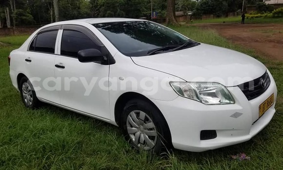 Buy Used Toyota Axio White Car in Lilongwe in Malawi Buy Used Toyota Axio White Car in Lilongwe in Malawi