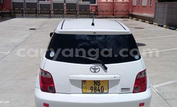 Buy Used Toyota IST White Car in Lilongwe in Malawi Buy Used Toyota IST White Car in Lilongwe in Malawi