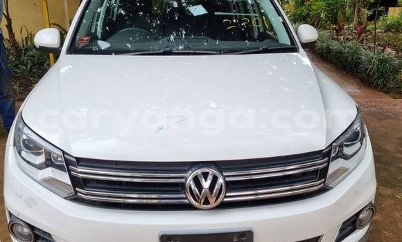 Buy Used Tata Aria Green Car in Lilongwe in Malawi Buy Used Tata Aria Green Car in Lilongwe in Malawi