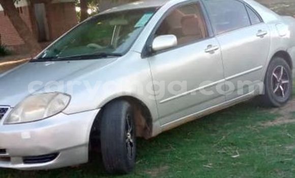 Buy Used Toyota Corolla Other Car in Lilongwe in Malawi Buy Used Toyota Corolla Other Car in Lilongwe in Malawi