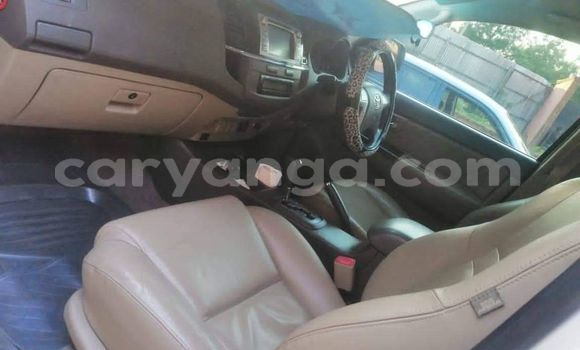 Acheter Occasion Voiture Toyota Fortuner Blanc à Lilongwe, Malawi Acheter Occasion Voiture Toyota Fortuner Blanc à Lilongwe, Malawi