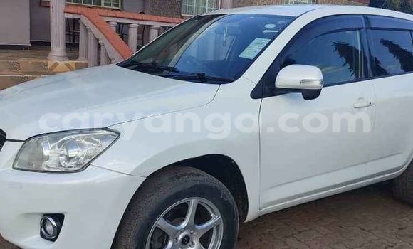 Buy Used Toyota RAV4 White Car in Blantyre in Malawi Buy Used Toyota RAV4 White Car in Blantyre in Malawi