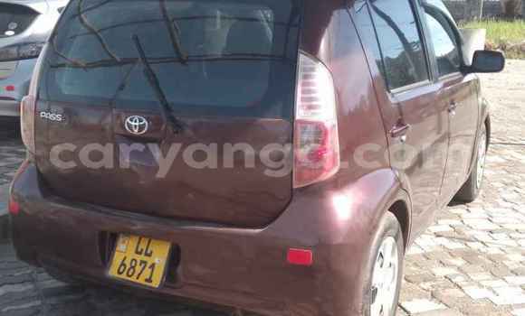 Buy Used Toyota Passo Other Car in Blantyre in Malawi Buy Used Toyota Passo Other Car in Blantyre in Malawi