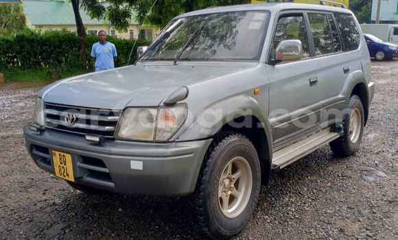 Buy Used Toyota Prado Other Car in Blantyre in Malawi Buy Used Toyota Prado Other Car in Blantyre in Malawi
