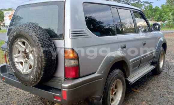Buy Used Toyota Prado Other Car in Blantyre in Malawi Buy Used Toyota Prado Other Car in Blantyre in Malawi