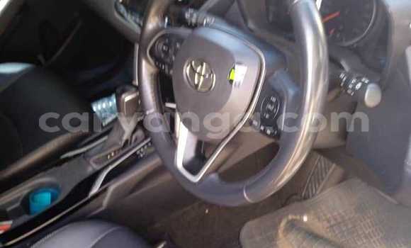 Buy Used Toyota Corolla Cross Black Car in Lilongwe in Malawi Buy Used Toyota Corolla Cross Black Car in Lilongwe in Malawi