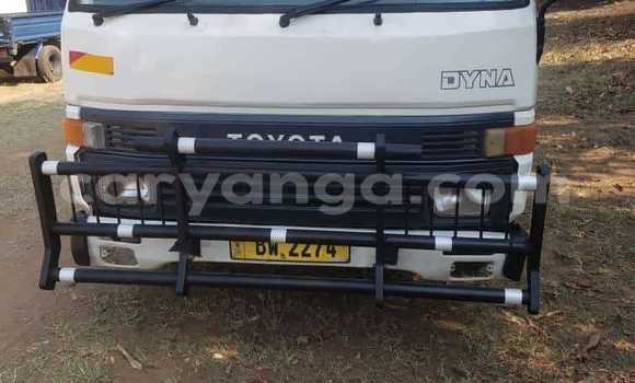Buy Used Toyota Dyna White Truck in Lilongwe in Malawi Buy Used Toyota Dyna White Truck in Lilongwe in Malawi