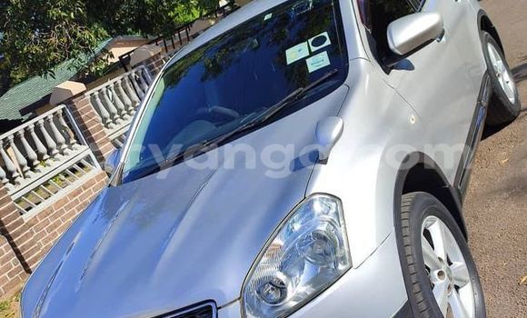 Buy Used Nissan Dualis Other Car in Chikwawa in Chikwawa Buy Used Nissan Dualis Other Car in Chikwawa in Chikwawa