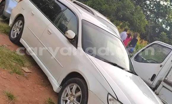 Buy Used Subaru Legacy White Car in Chitipa in Chitipa Buy Used Subaru Legacy White Car in Chitipa in Chitipa