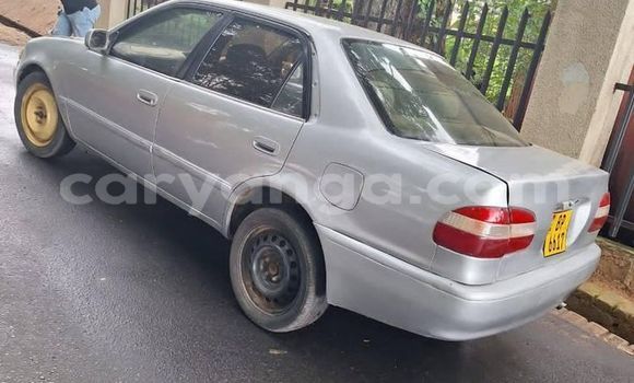 Nunua Ilio tumika Toyota 2000GT Other Gari ndani ya Chipoka nchini Dedza Nunua Ilio tumika Toyota 2000GT Other Gari ndani ya Chipoka nchini Dedza