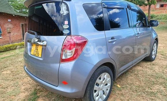 Buy Used Toyota Ractis Other Car in Chiradzulu in Chiradzulu Buy Used Toyota Ractis Other Car in Chiradzulu in Chiradzulu