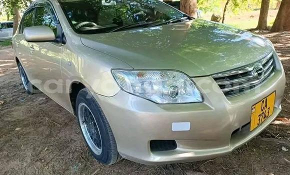 Buy Used Toyota Axio Other Car in Lilongwe in Malawi Buy Used Toyota Axio Other Car in Lilongwe in Malawi