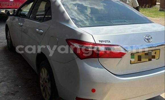 Buy Used Toyota Corolla Other Car in Lilongwe in Malawi Buy Used Toyota Corolla Other Car in Lilongwe in Malawi