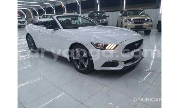 Buy Import Ford Mustang White Car in Import - Dubai in Malawi Buy Import Ford Mustang White Car in Import - Dubai in Malawi