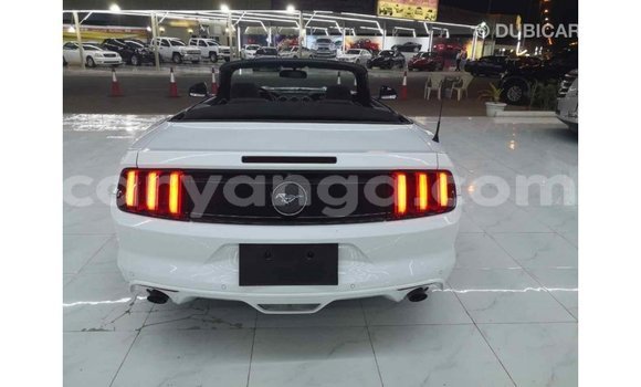 Buy Import Ford Mustang White Car in Import - Dubai in Malawi Buy Import Ford Mustang White Car in Import - Dubai in Malawi