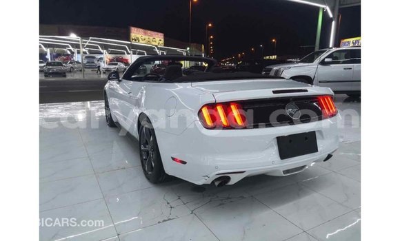 Buy Import Ford Mustang White Car in Import - Dubai in Malawi Buy Import Ford Mustang White Car in Import - Dubai in Malawi