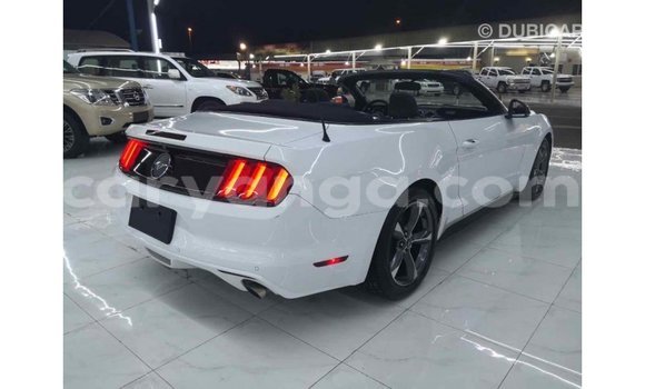 Buy Import Ford Mustang White Car in Import - Dubai in Malawi Buy Import Ford Mustang White Car in Import - Dubai in Malawi