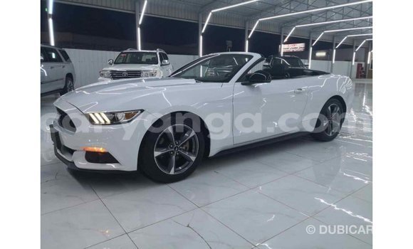 Buy Import Ford Mustang White Car in Import - Dubai in Malawi Buy Import Ford Mustang White Car in Import - Dubai in Malawi