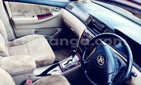 Buy Used Toyota Allex Other Car in Lilongwe in Malawi Buy Used Toyota Allex Other Car in Lilongwe in Malawi