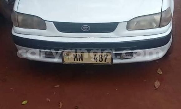 Buy Used Toyota 2000GT Other Car in Blantyre in Malawi Buy Used Toyota 2000GT Other Car in Blantyre in Malawi