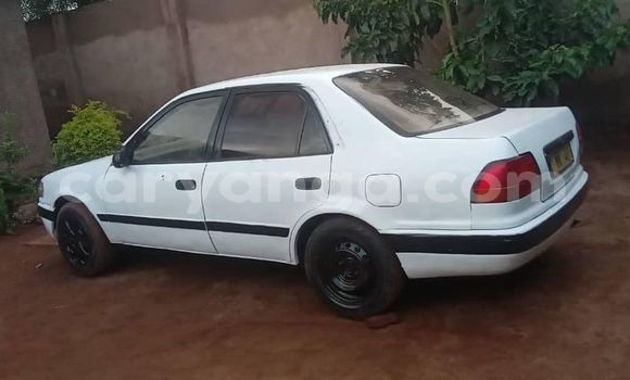 Buy Used Toyota 2000GT Other Car in Blantyre in Malawi Buy Used Toyota 2000GT Other Car in Blantyre in Malawi